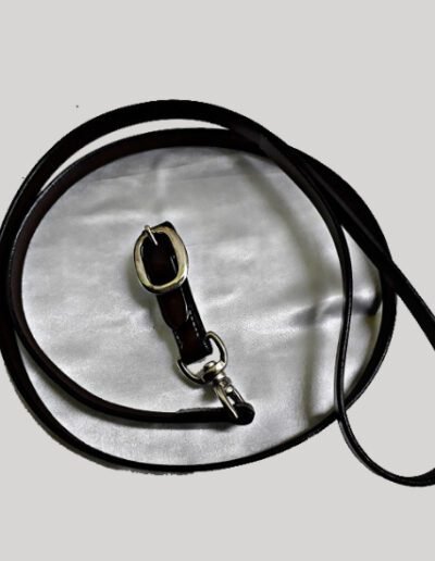 Dog Leashe01