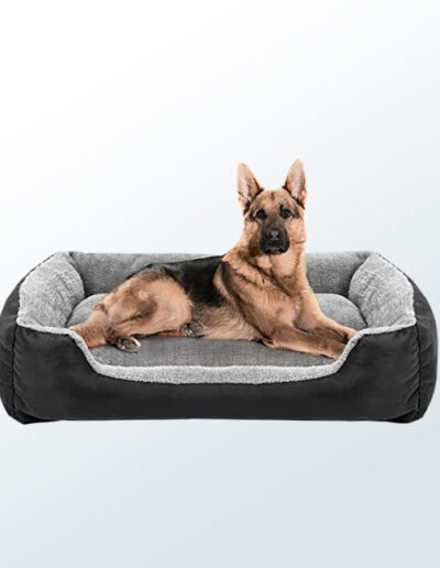 Dog Bed1