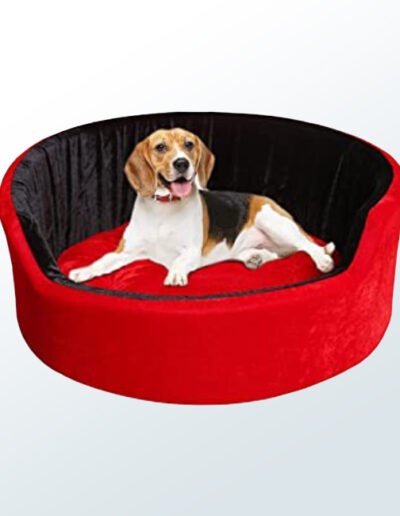 Dog Bed2