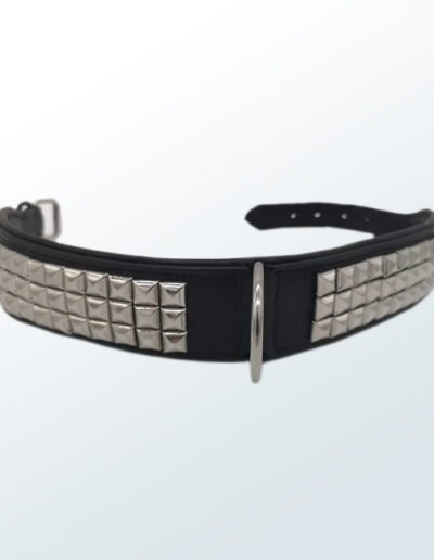 Dog Collar01