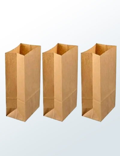 Paper Bags