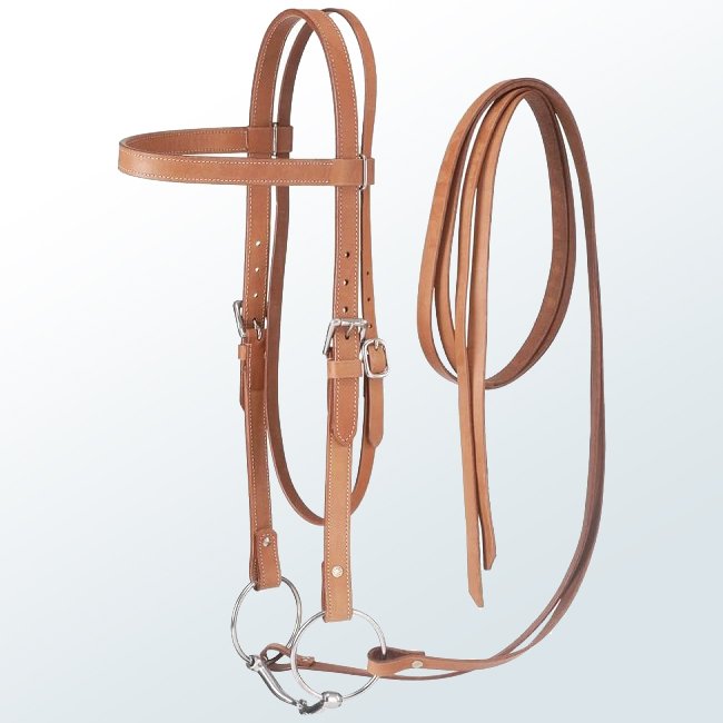 Horse Bridles02