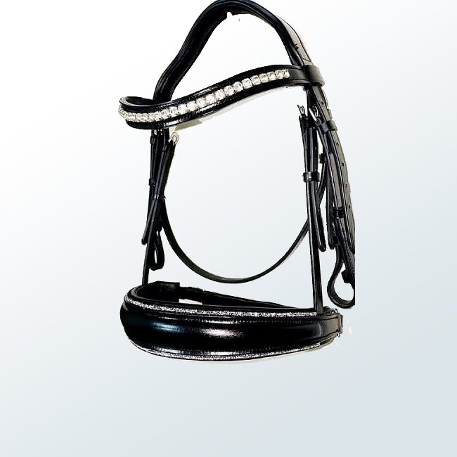 Horse Bridles04