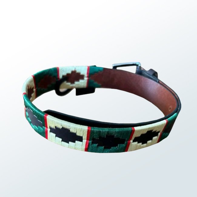 Polo Belt08