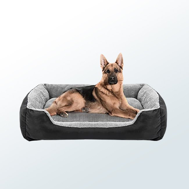 Dog Beds01