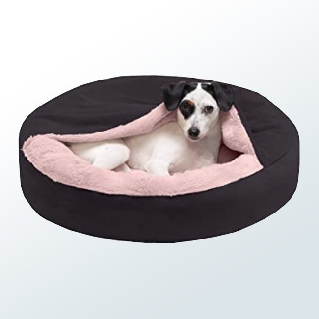 Dog Beds02