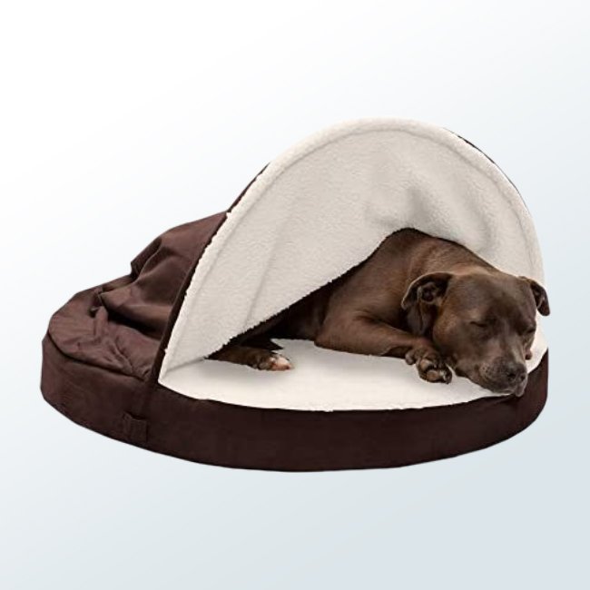 Dog Beds03