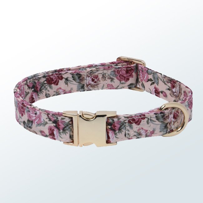 Dog Collar03