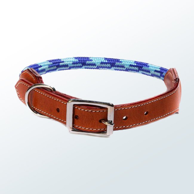 Dog Collar10