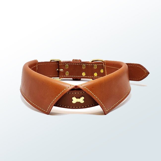 Dog Collar09