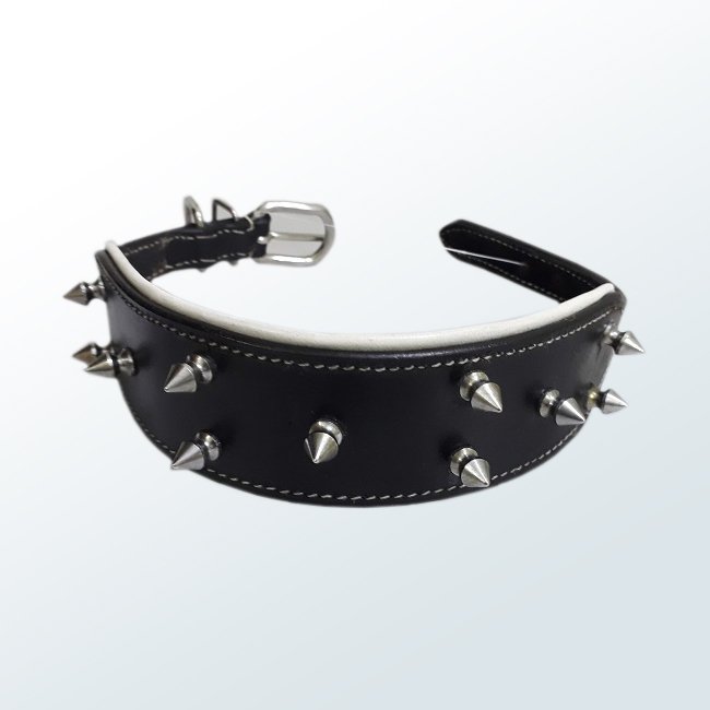 Dog Collar05