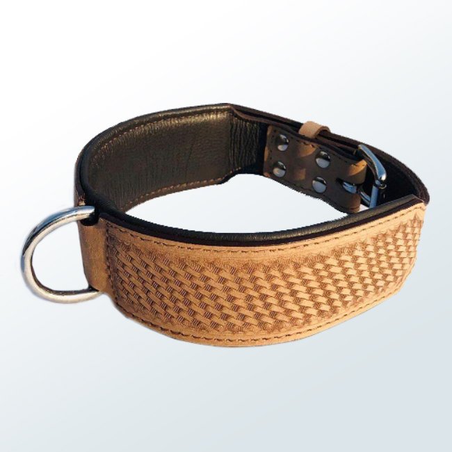 Dog Collar02