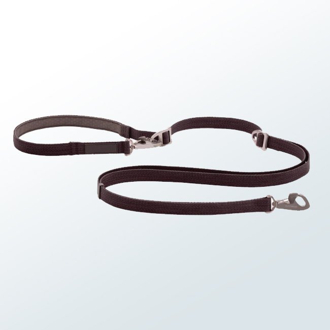 Dog Leashe04