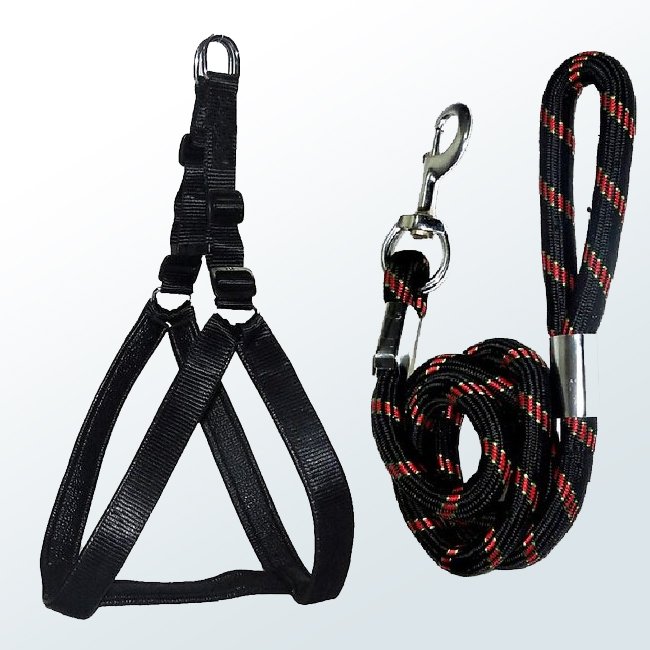 Dog Leashe02