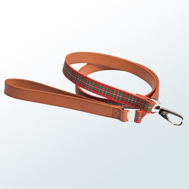 Dog Leashe06