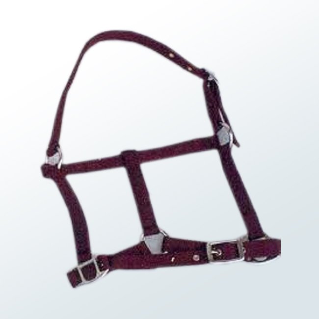 Horse Halter01