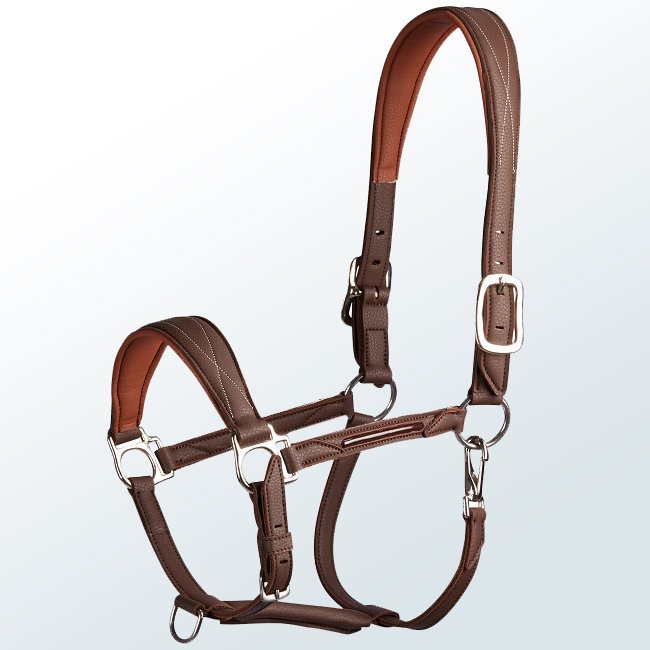Horse Halter02