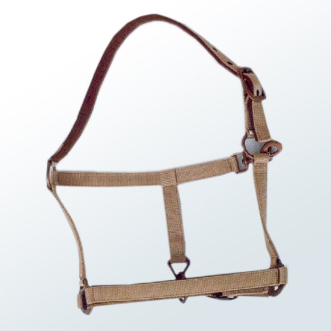 Horse Halter03