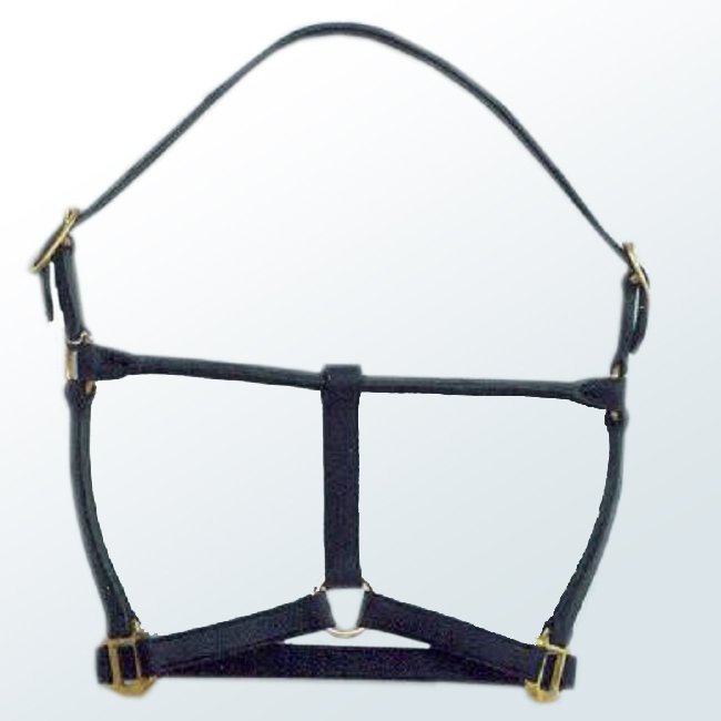 Horse Halter04