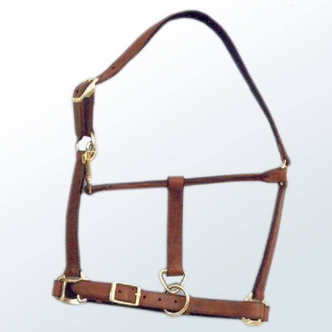 Horse Halter05