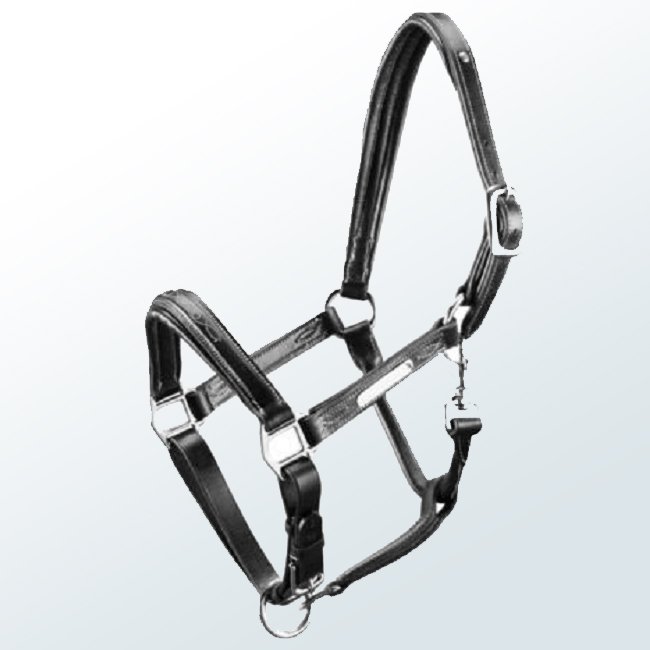 Horse Halter06