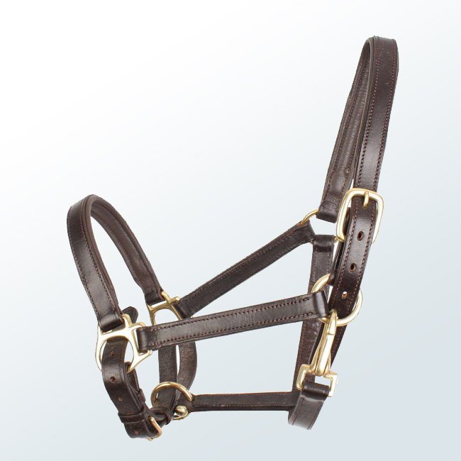 Horse Halter07