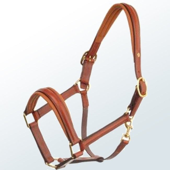 Horse Halter08
