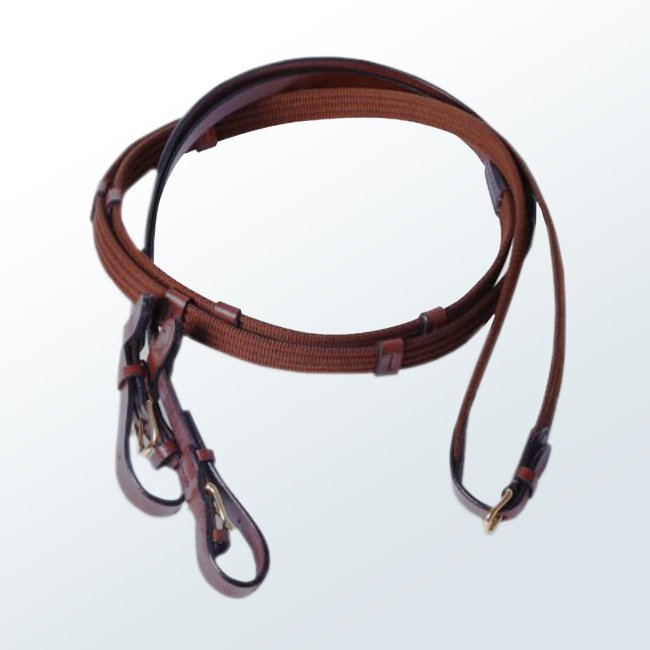 Horse Reins01