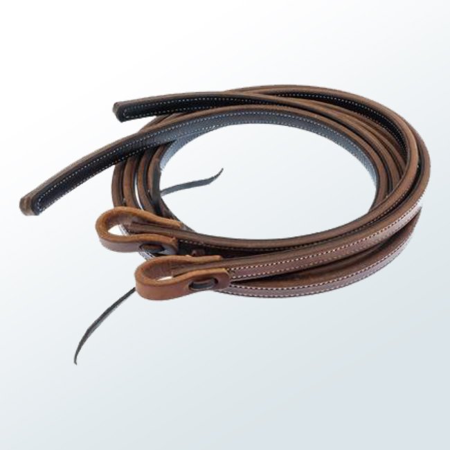 Horse Reins02