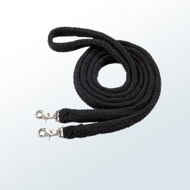 Horse Reins09